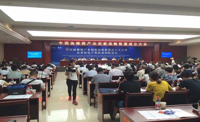 欧朗国际翻译助力国家油橄榄产业发展创新