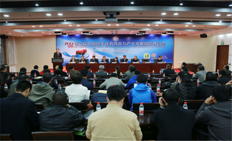 中国肉牛产业发展国际研讨会